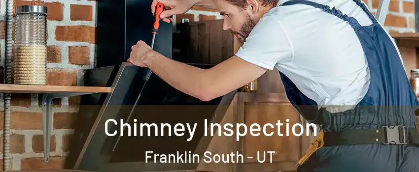 Chimney Inspection Franklin South - UT