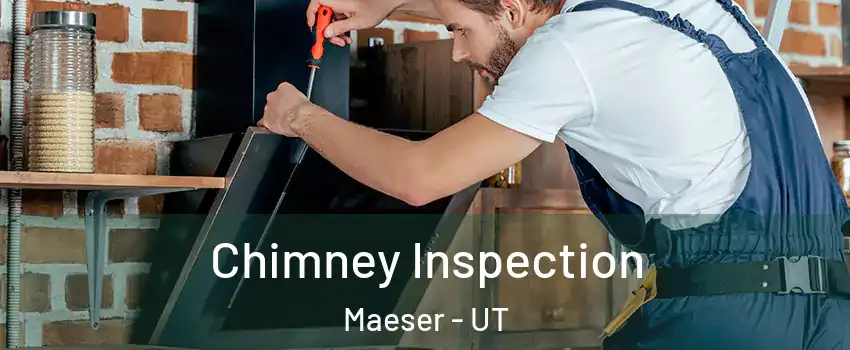 Chimney Inspection Maeser - UT