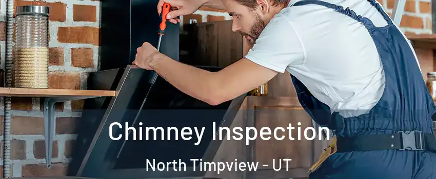 Chimney Inspection North Timpview - UT