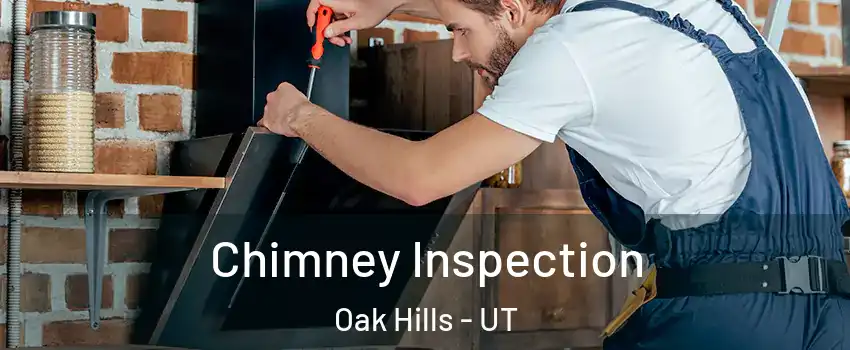 Chimney Inspection Oak Hills - UT