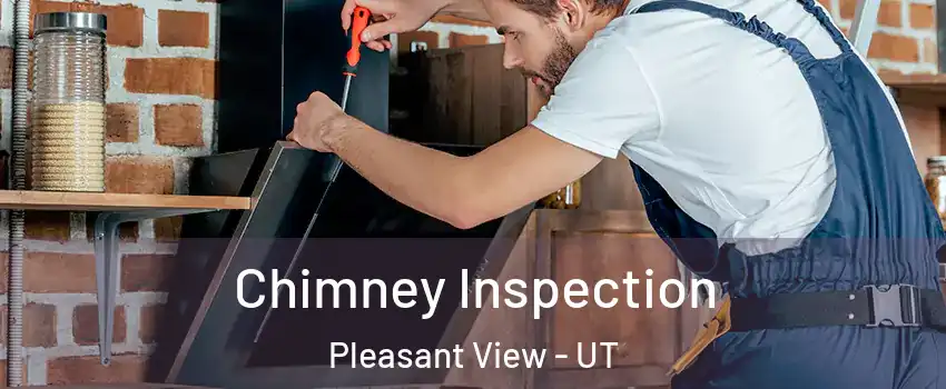 Chimney Inspection Pleasant View - UT