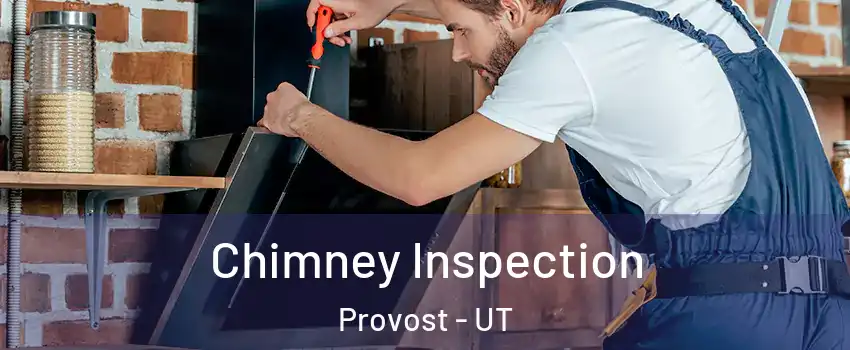 Chimney Inspection Provost - UT