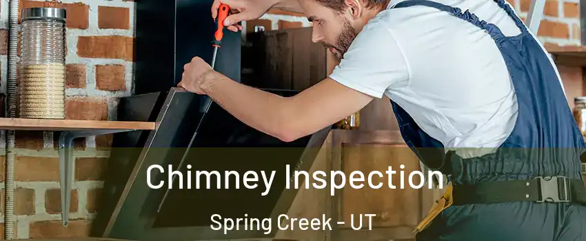 Chimney Inspection Spring Creek - UT
