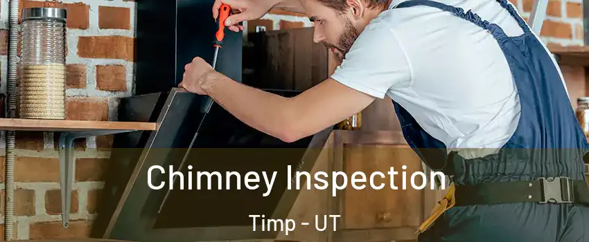 Chimney Inspection Timp - UT