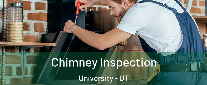 Chimney Inspection University - UT