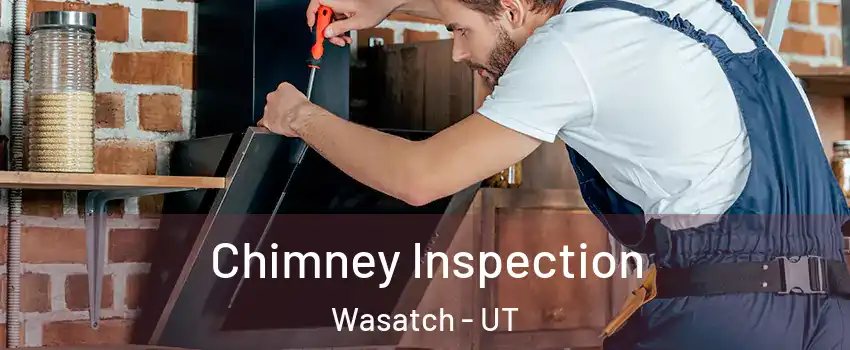 Chimney Inspection Wasatch - UT