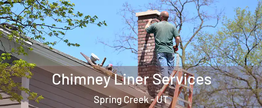 Chimney Liner Services Spring Creek - UT