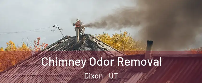 Chimney Odor Removal Dixon - UT