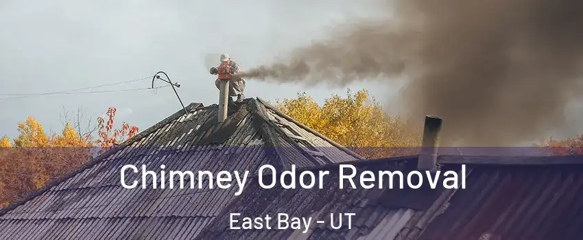 Chimney Odor Removal East Bay - UT