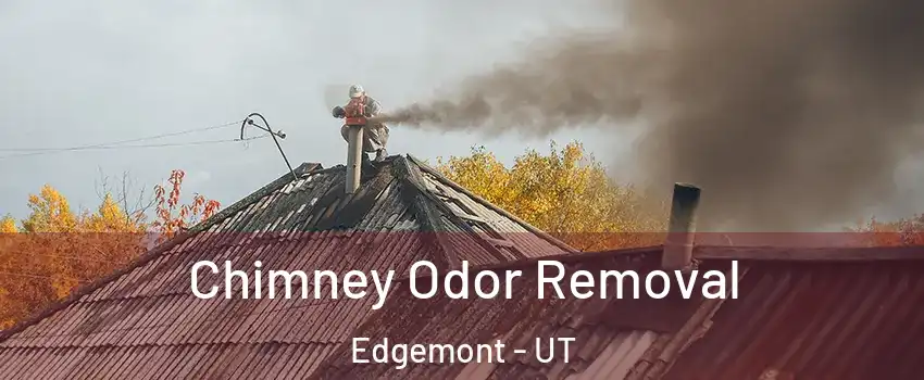 Chimney Odor Removal Edgemont - UT