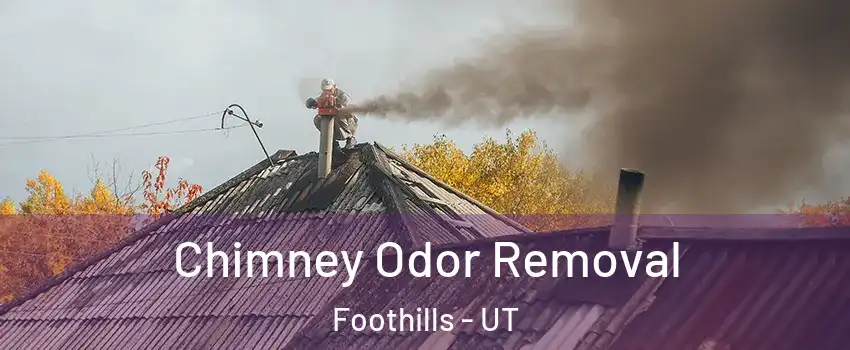 Chimney Odor Removal Foothills - UT