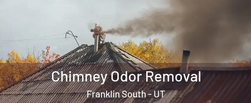 Chimney Odor Removal Franklin South - UT
