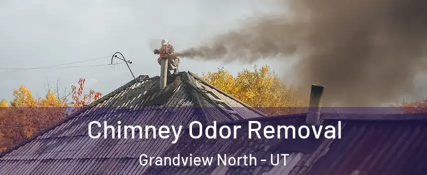 Chimney Odor Removal Grandview North - UT