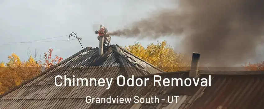 Chimney Odor Removal Grandview South - UT