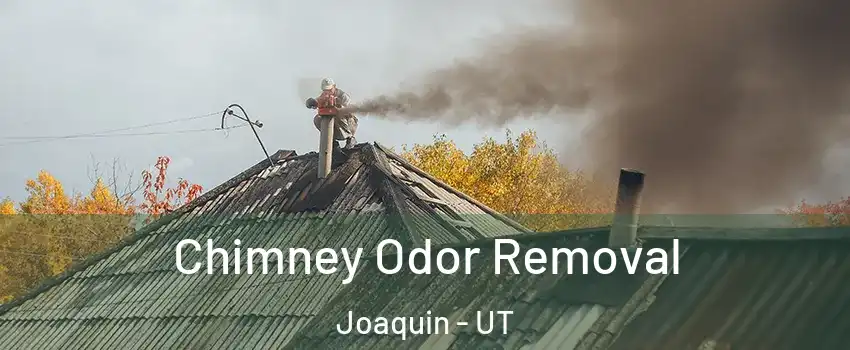 Chimney Odor Removal Joaquin - UT