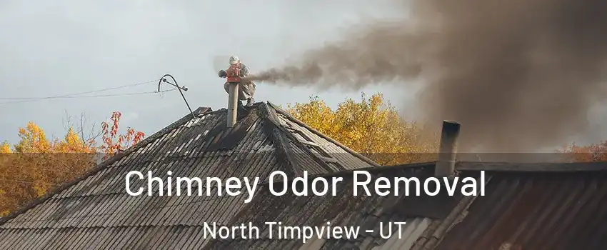 Chimney Odor Removal North Timpview - UT
