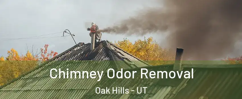 Chimney Odor Removal Oak Hills - UT
