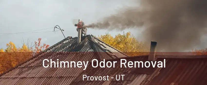 Chimney Odor Removal Provost - UT
