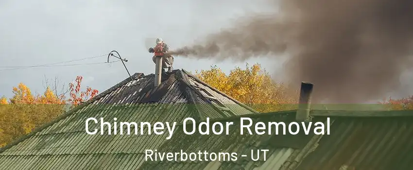 Chimney Odor Removal Riverbottoms - UT