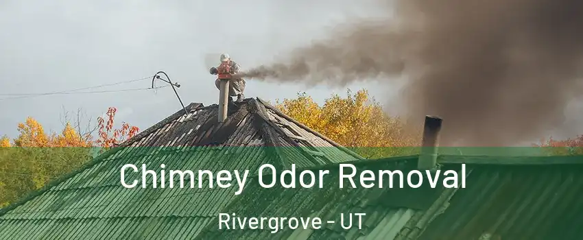 Chimney Odor Removal Rivergrove - UT