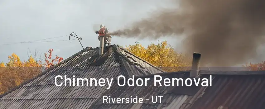 Chimney Odor Removal Riverside - UT