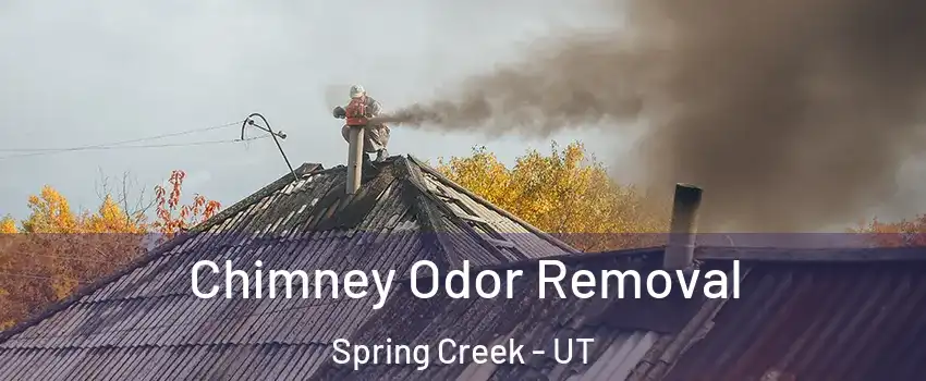 Chimney Odor Removal Spring Creek - UT