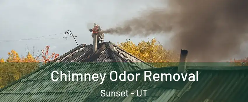 Chimney Odor Removal Sunset - UT