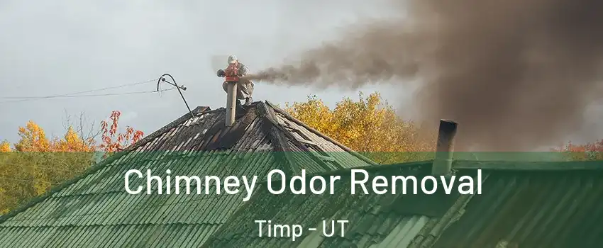 Chimney Odor Removal Timp - UT