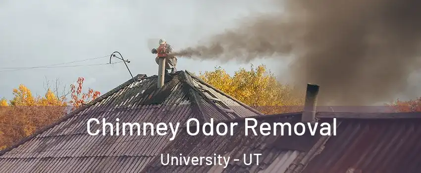 Chimney Odor Removal University - UT