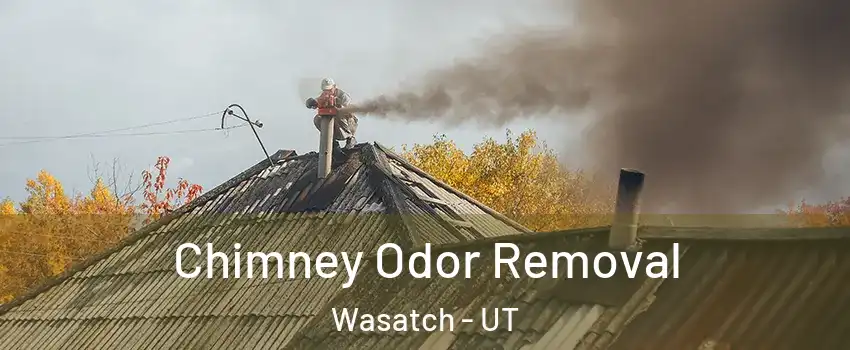 Chimney Odor Removal Wasatch - UT