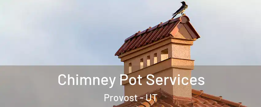 Chimney Pot Services Provost - UT