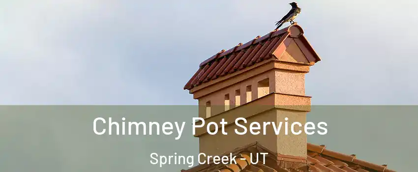 Chimney Pot Services Spring Creek - UT