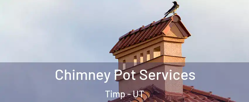 Chimney Pot Services Timp - UT