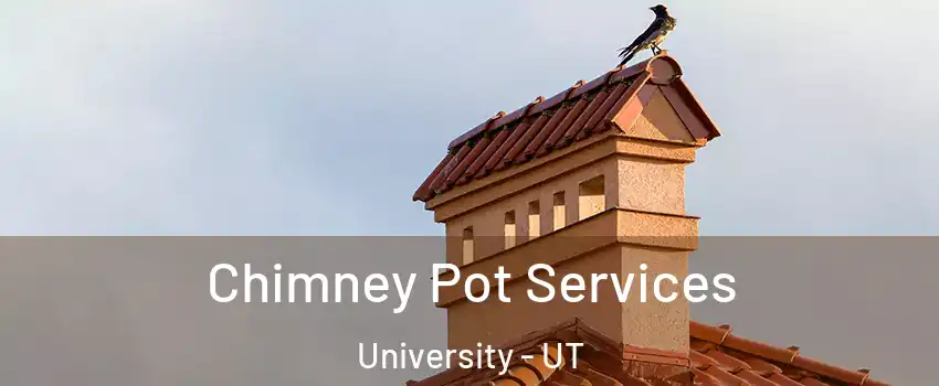 Chimney Pot Services University - UT