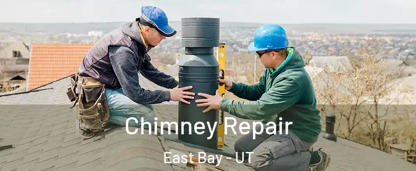 Chimney Repair East Bay - UT