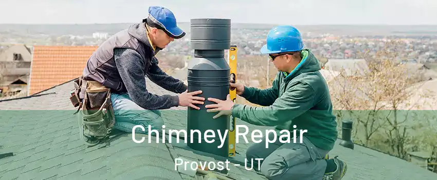 Chimney Repair Provost - UT