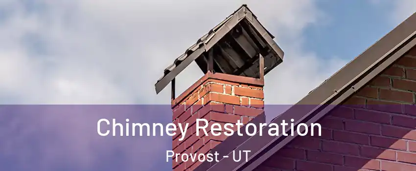 Chimney Restoration Provost - UT
