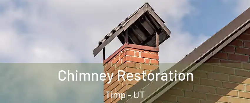 Chimney Restoration Timp - UT