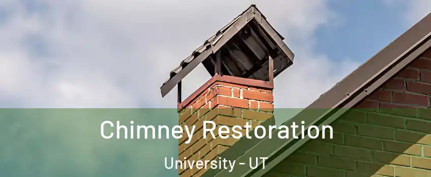 Chimney Restoration University - UT