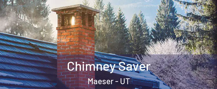 Chimney Saver Maeser - UT