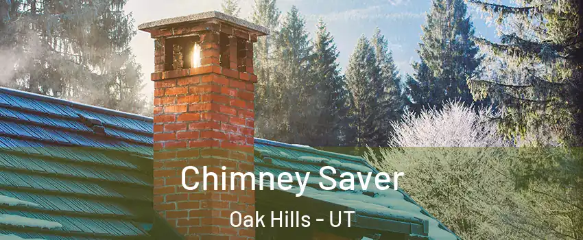 Chimney Saver Oak Hills - UT