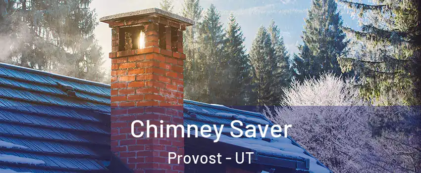 Chimney Saver Provost - UT
