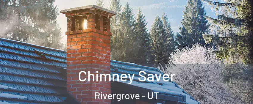 Chimney Saver Rivergrove - UT