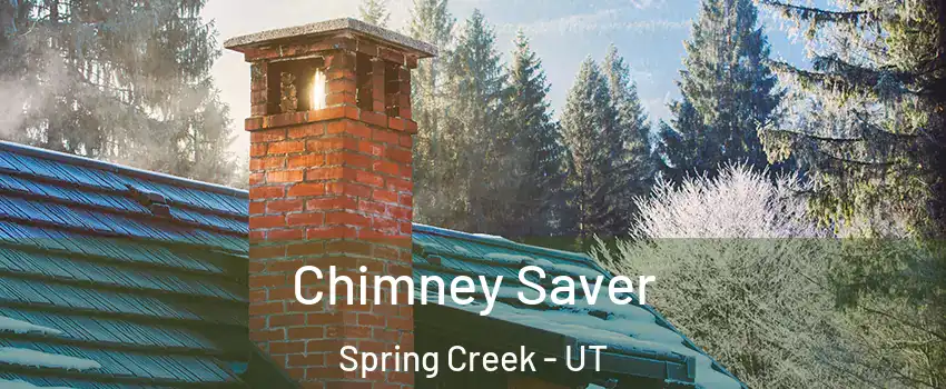 Chimney Saver Spring Creek - UT