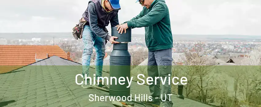 Chimney Service Sherwood Hills - UT