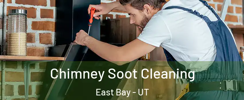 Chimney Soot Cleaning East Bay - UT