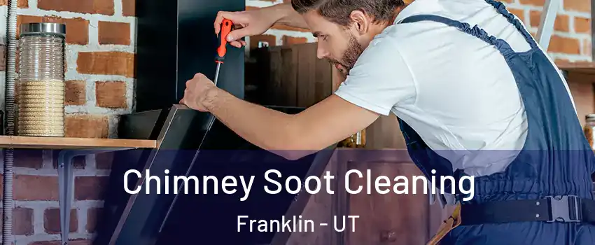 Chimney Soot Cleaning Franklin - UT