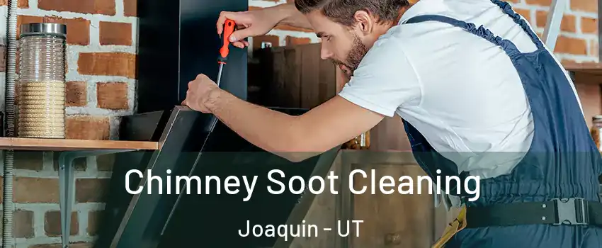 Chimney Soot Cleaning Joaquin - UT