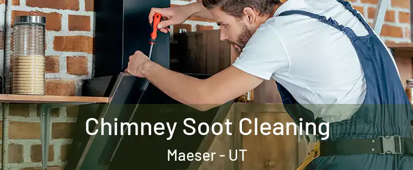 Chimney Soot Cleaning Maeser - UT