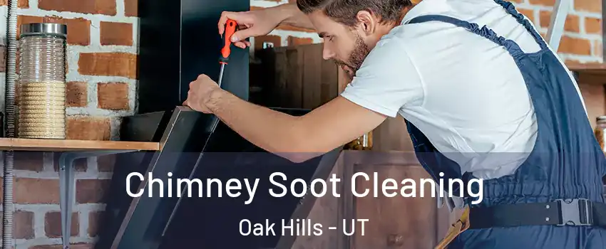 Chimney Soot Cleaning Oak Hills - UT